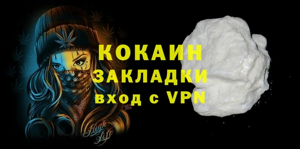2c-b Инсар