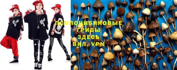 ПСИЛОЦИБИНОВЫЕ ГРИБЫ Абинск