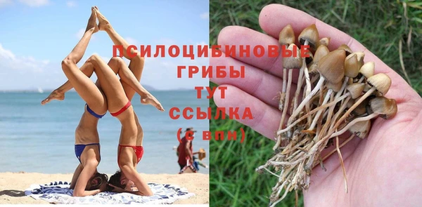 ПСИЛОЦИБИНОВЫЕ ГРИБЫ Абинск